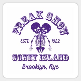 FREAK SHOW - Groovy tie dye Sticker